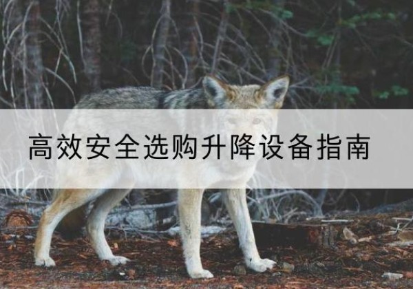 上党升降货梯厂家推荐-*安全选购升降设备指南