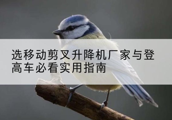 上党电动升降机厂家-选移动剪叉升降机厂家与登高车必看实用指南
